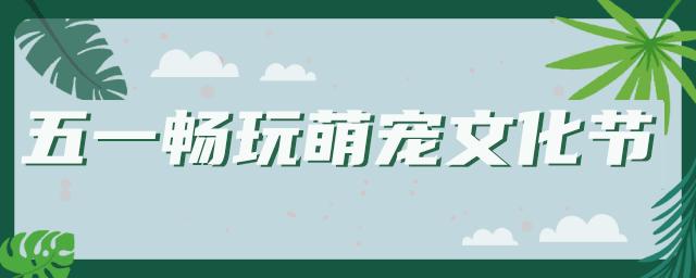 五一萌宠游园会,五一萌宠节