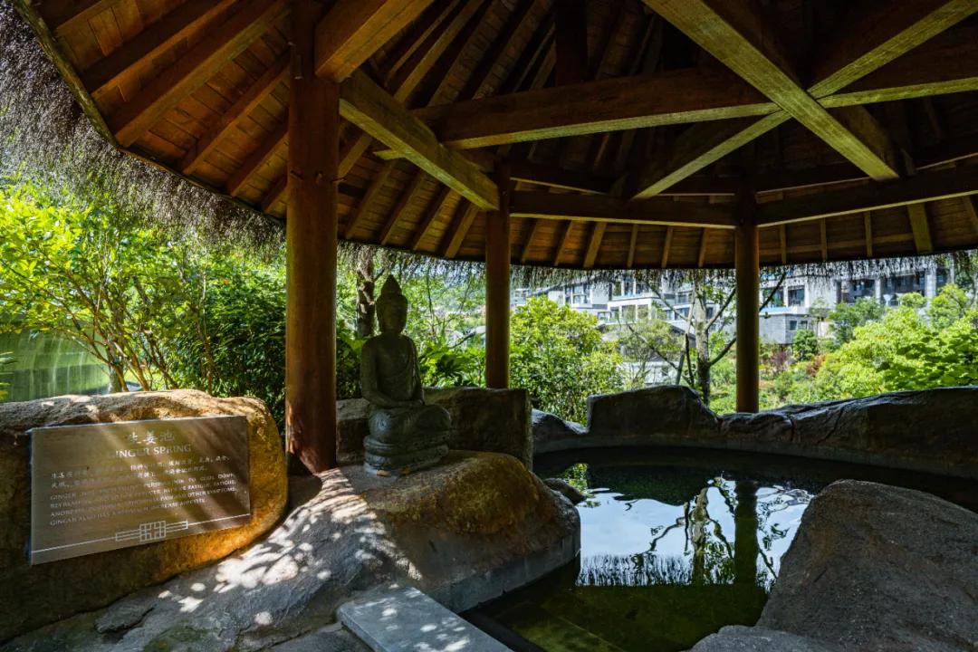 露天温泉小院精品,一房一厅庭院私家温泉