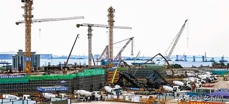 钢铁白鹭振翅高飞——《中国建设报》走进中建八局厦门体育场