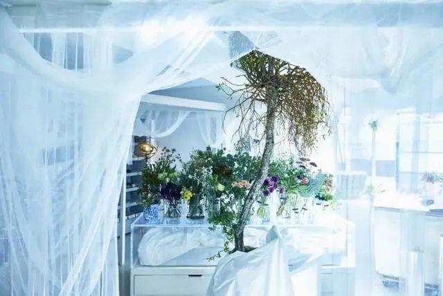 9平米花店,有4间铺面开花店怎样设计