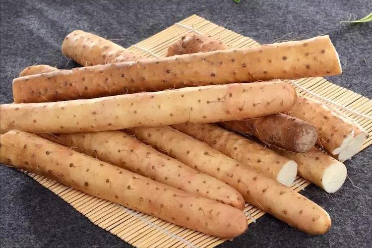 有点懒不爱动是怎么回事,不想动很懒是什么病