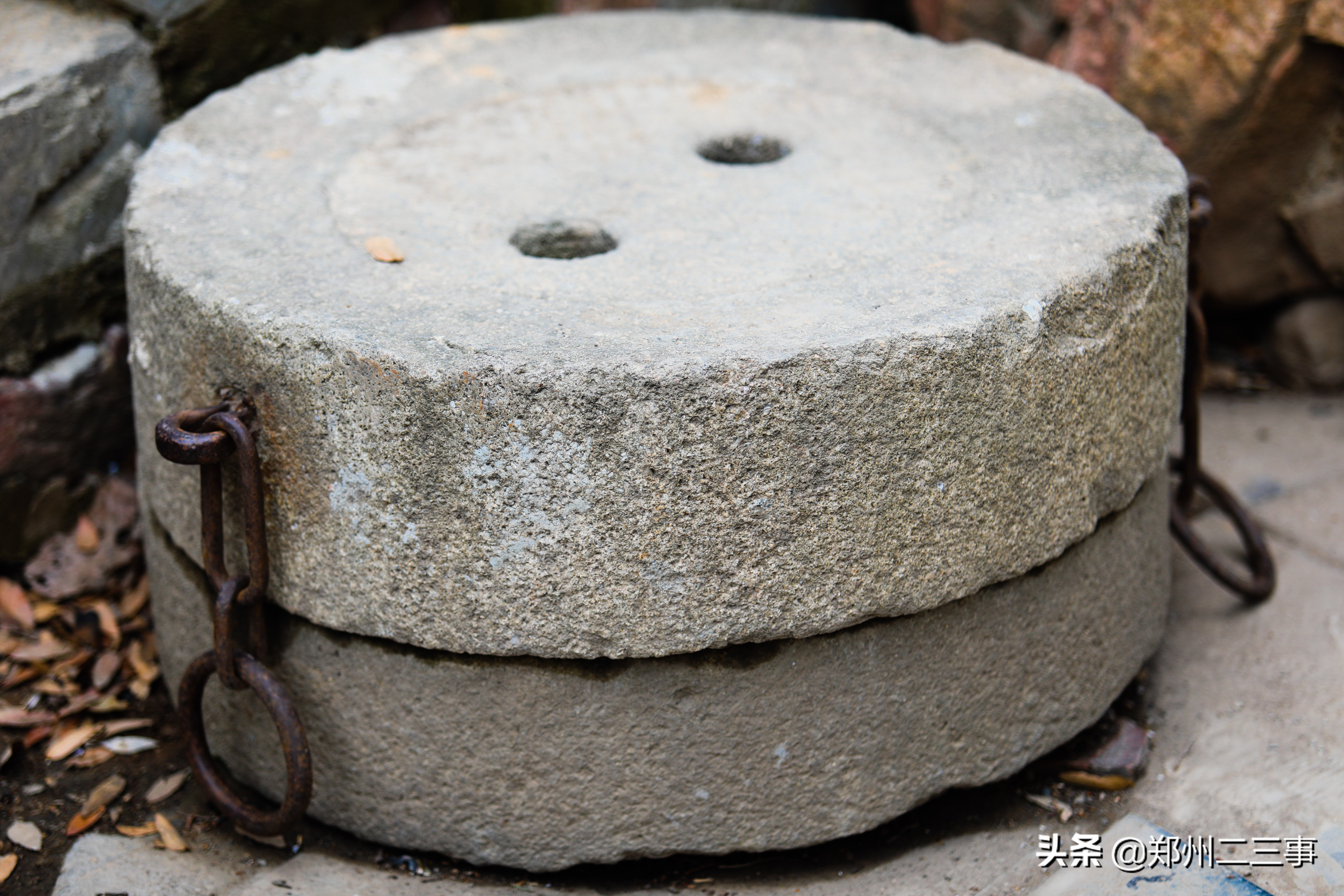 郑州惠济区免费遛娃好去处植物园,郑州遛娃踏青好去处