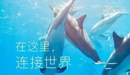 创业项目最新思路,2019年自己创业好项目