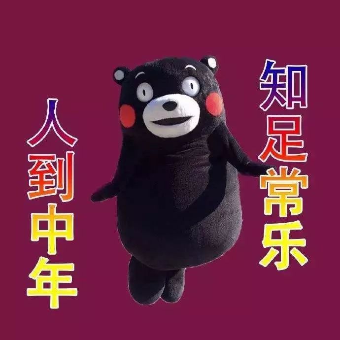 猪年适合做生意吗,猪年适合做什么行业