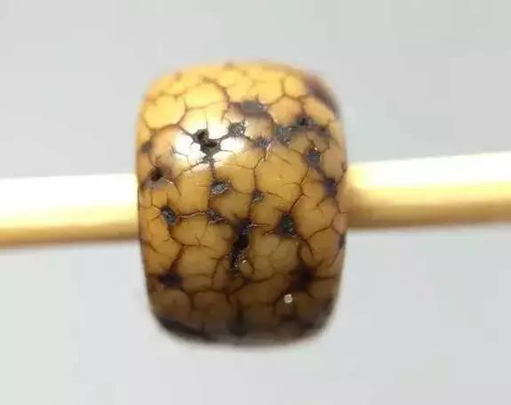 你的是不是老珠子，自己心里没点X数吗？