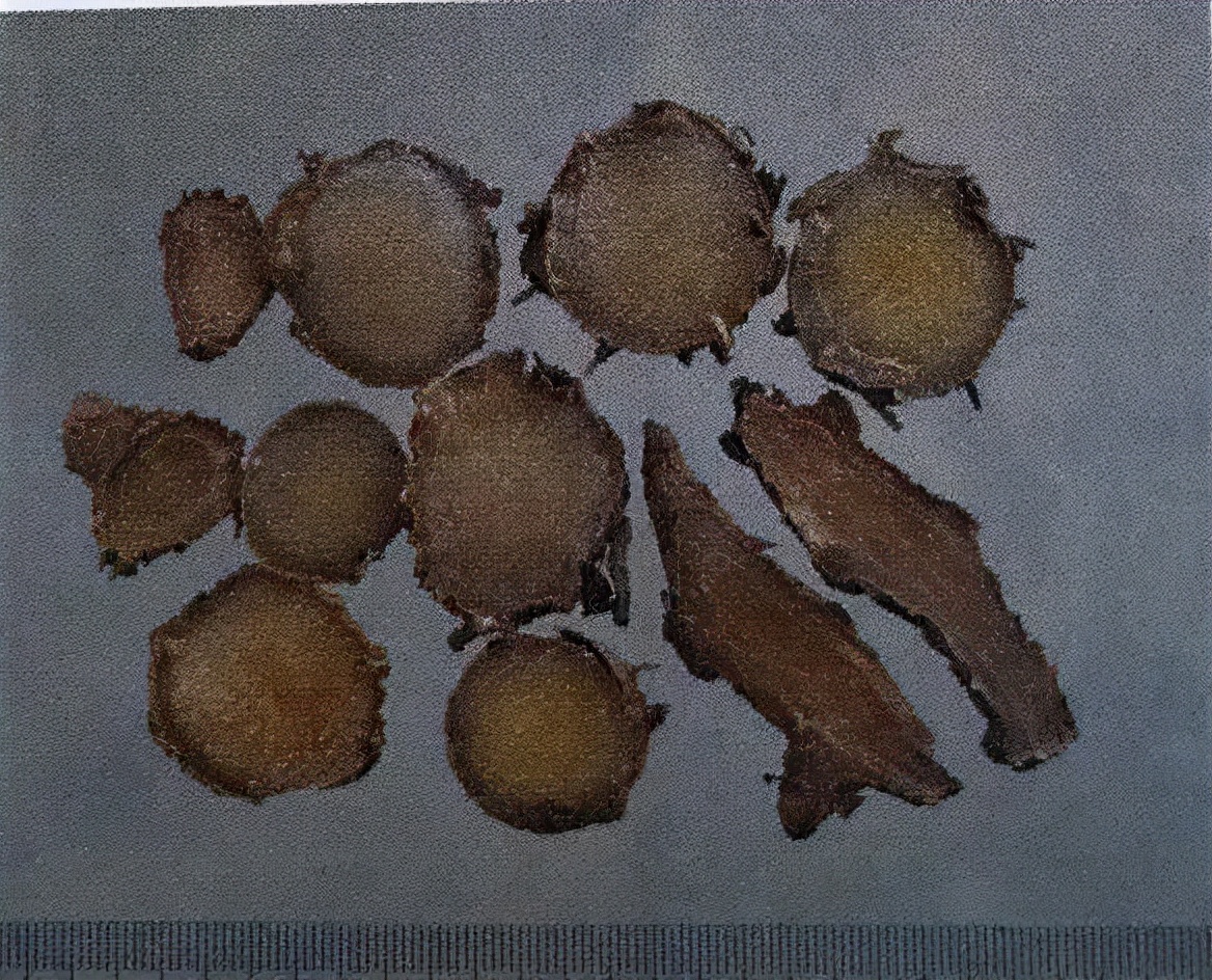 草药莪术的功效与作用,醋莪术行气破血什么意思