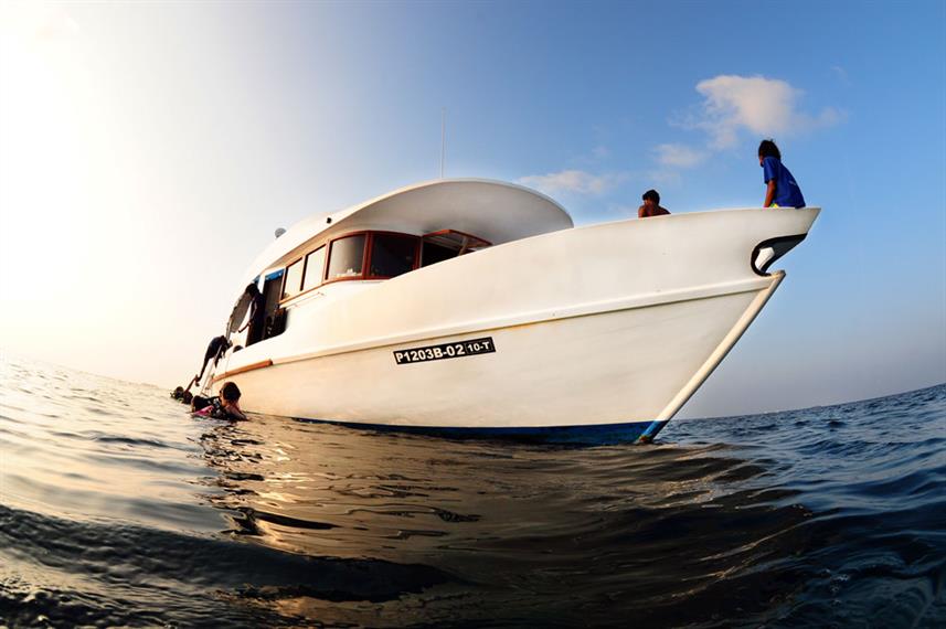 船宿潜水到底是什么,潜水新手能去船宿吗