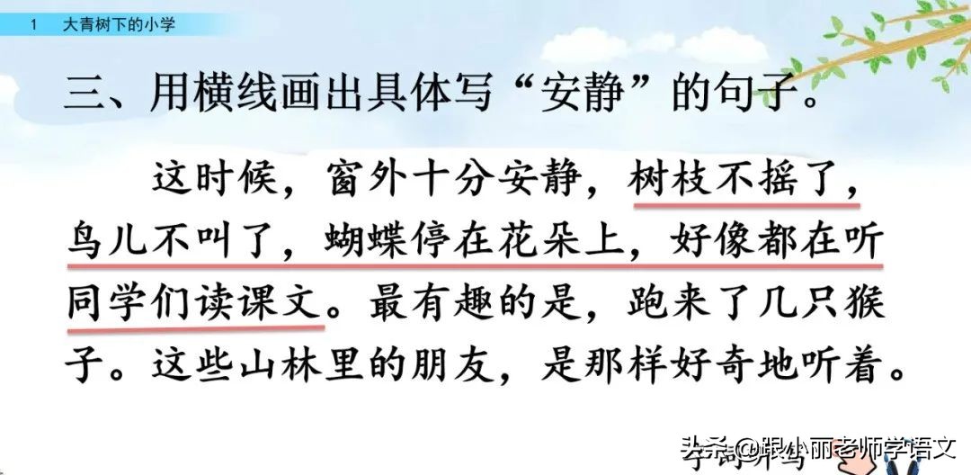 大青树下的小学重点知识点,大青树下的小学重点知识梳理