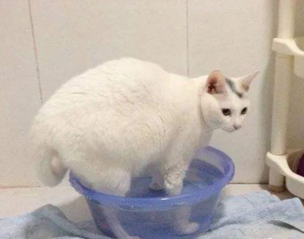 齿痕舌是内湿顽固的标志，教你4个方法，长期坚持消齿印