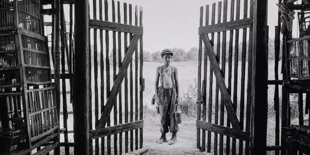 《哪吒》去“冲奥”了，看看竞争对手还有谁？