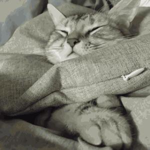 别花冤枉钱！冬天娃的帽子、围巾、袜子要这么选