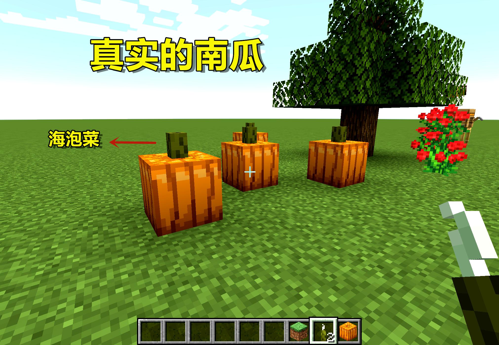 我的世界各种农场建造,我的世界各种农场的建造方式