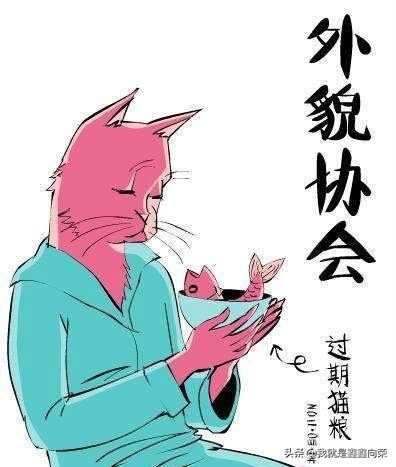 想追你需要关注什么怎么回,想追女孩就去追她怎么说理由