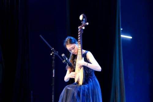 琵琶真的是适合学吗,自学琵琶需要先了解什么