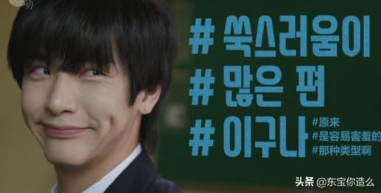 超好看的喜剧剧推荐,百看不厌的经典下饭剧