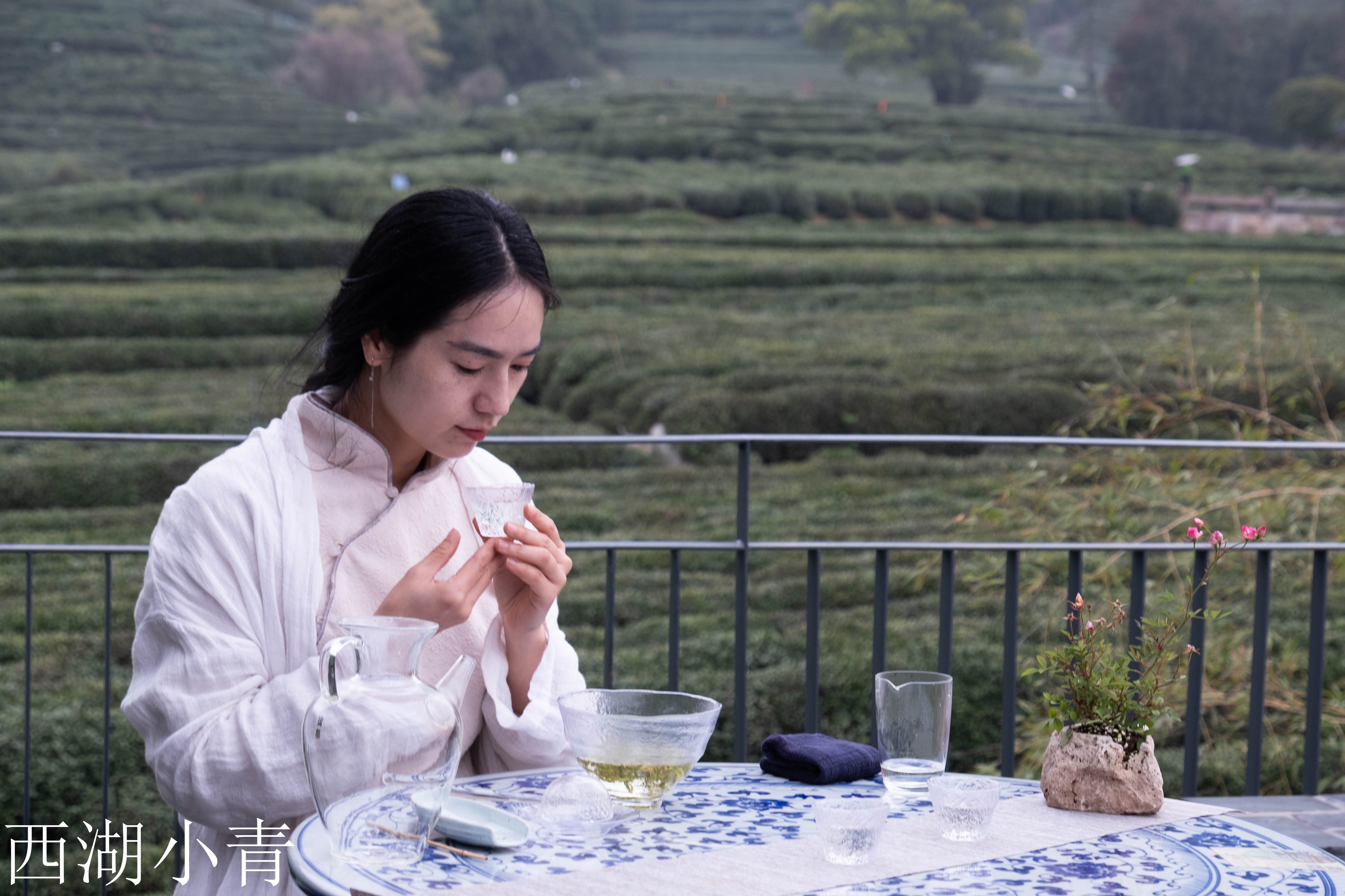 西湖龙井春茶季,龙井茶西湖明前春茶
