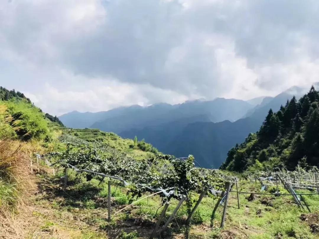 閬傛槍閫傚悎绉嬪ぉ鍘荤殑鍦版柟,閬傛槍鏃呮父缇庢櫙