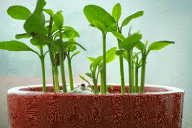 一岁半宝宝o型腿矫正视频,成年人o型腿矫正视频