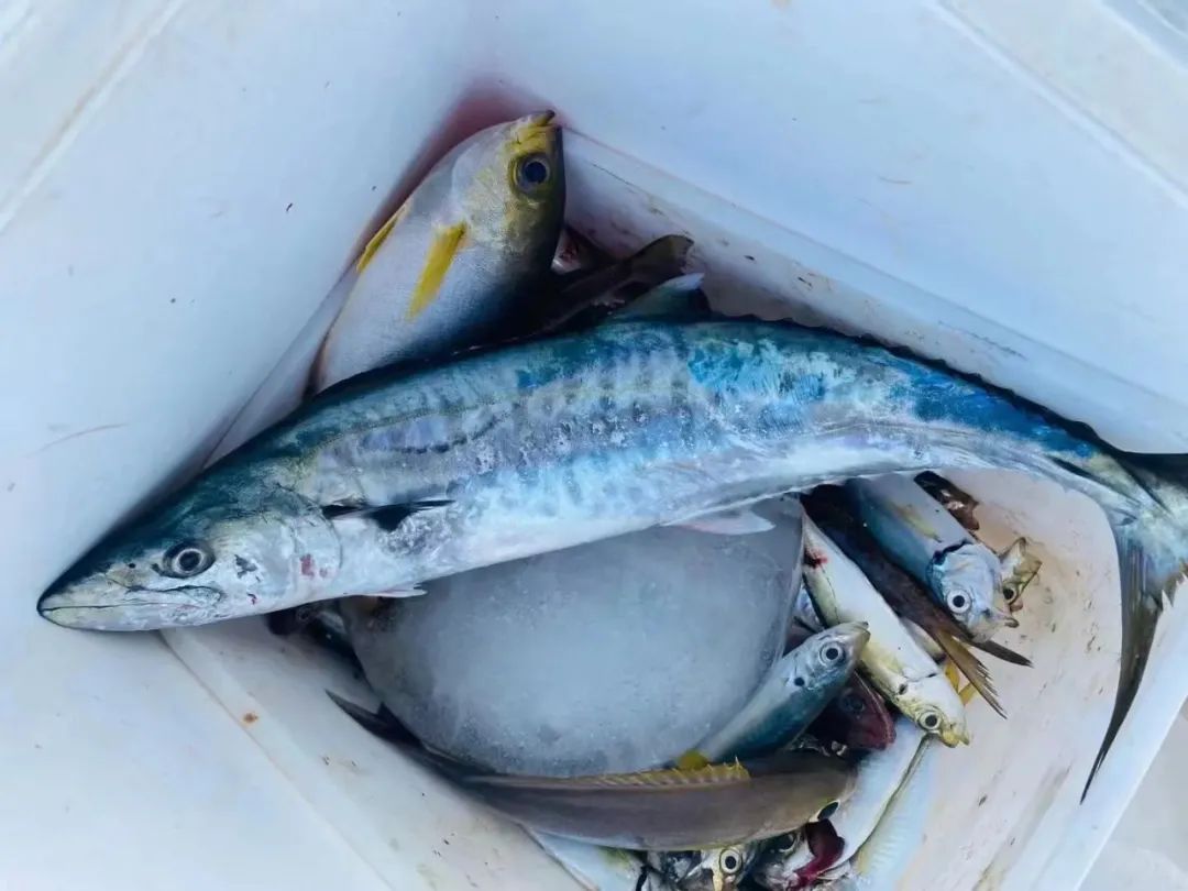 全国高校食堂美食排名,高校美食大赏隔壁都馋哭了