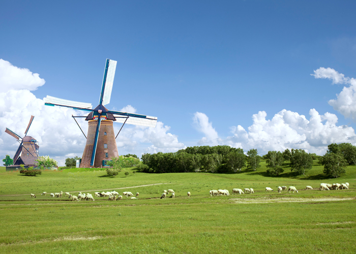 新生儿为啥会拉墨绿色粘便,新生儿为啥拉黑色便便