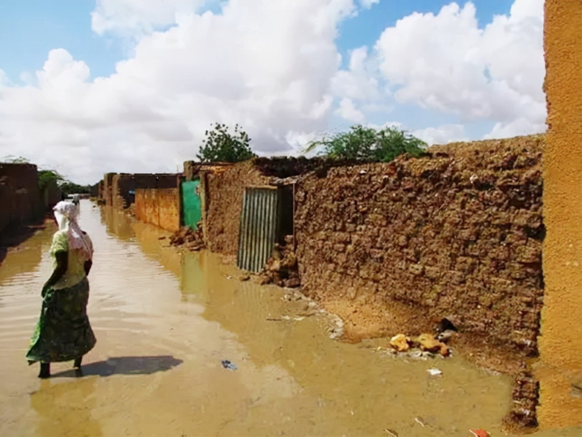 28年前，广州姑娘远嫁非洲黑人，生下两个混血宝宝，后来怎么样了