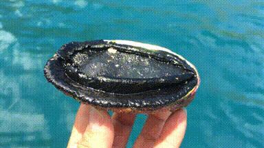 十年前，我只带了一根鱼竿出门，吃遍了世界上的各种顶级海鲜