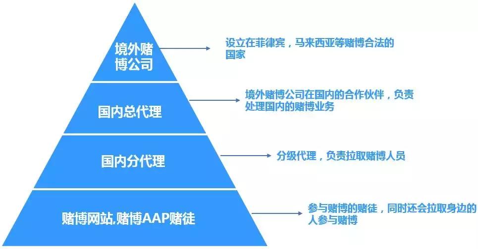 起底网络虚假视频乱象,起底网络赌博
