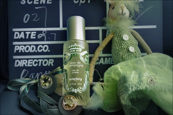 有雨后清新感的香水,阴雨天什么香水比较好闻