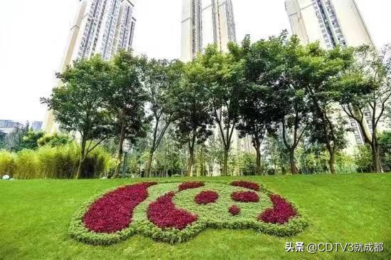 成都国家公园城市建设,开启成都创新型城市发展新征程