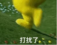 包包测评斜挎包,最值得买的lv包包推荐