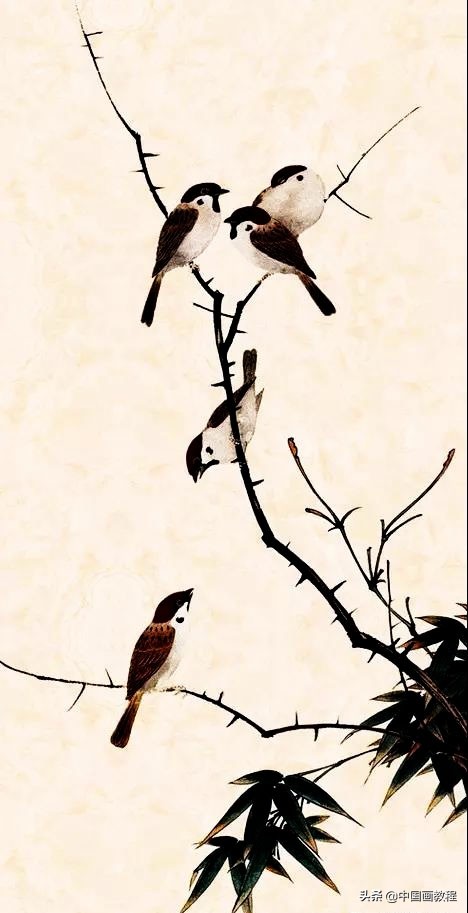 画羽毛的小技巧,根根分明的羽毛画法