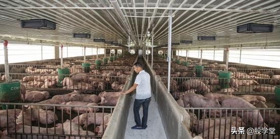 温氏股份持有哪些公司股权,温氏股份适合长期投资吗