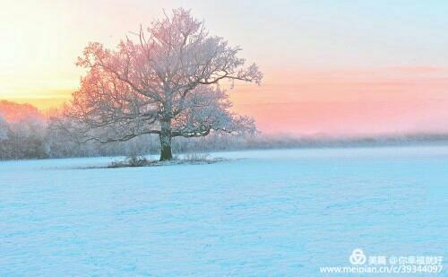 鐗╂崲鏄熺Щ閲夎壊涔嬪厜,鐗╂崲鏄熺Щ鍏ㄩ儴浣滃搧