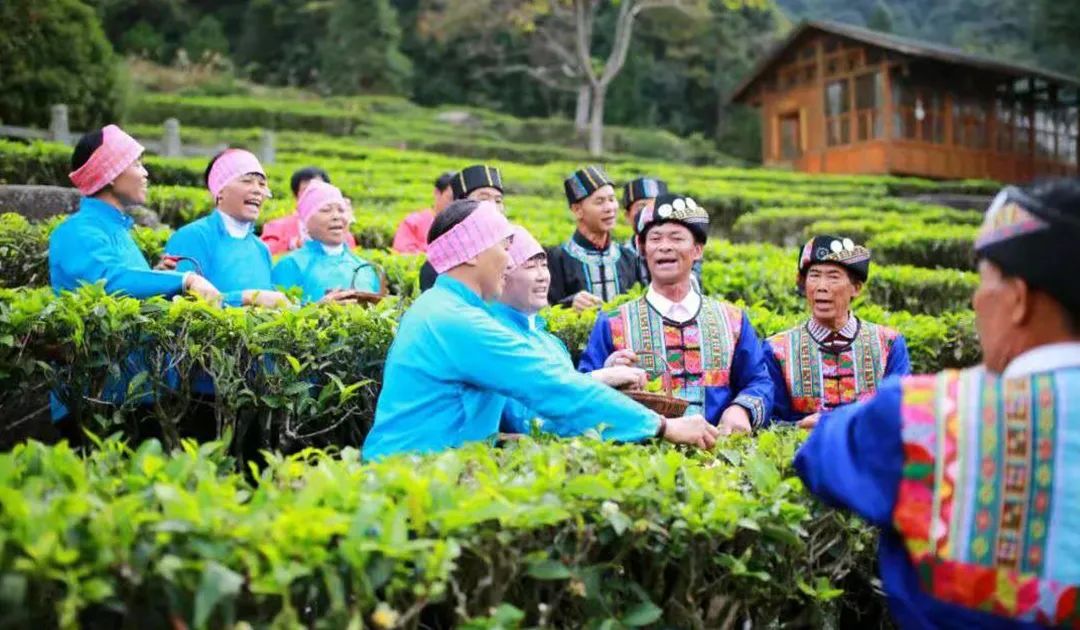 贺州八步区桂岭镇打卡景点,贺州网红景点排行榜