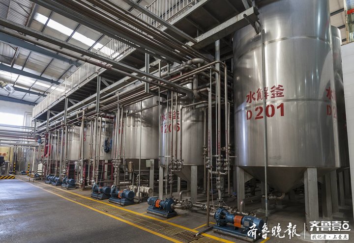 卡位新风口驶入新航道，德州禹城激活大健康产业一池“春水”