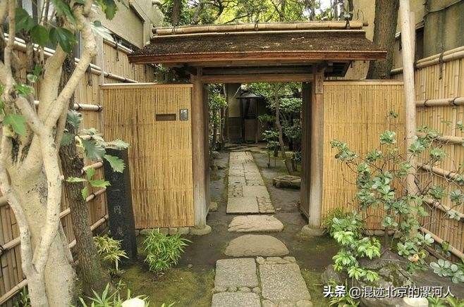 家狗突然不见了啥原因,农村的狗突然不见了是什么原因