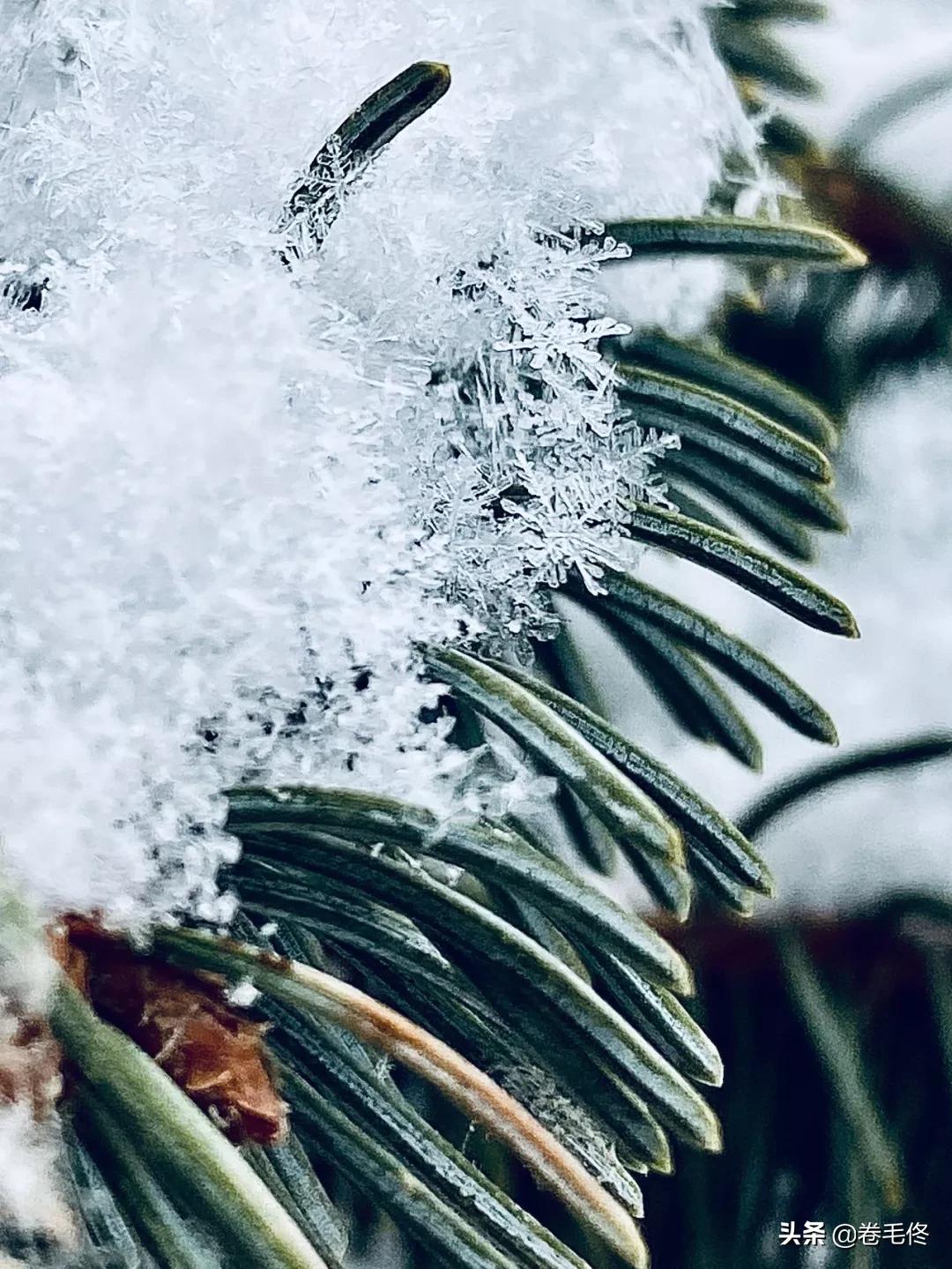 如何用手机拍下雪的照片,苹果手机如何拍出唯美的画面