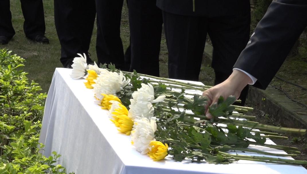 再见，标哥！面对手持利刃的歹徒，他用身体挡住了尖刀！