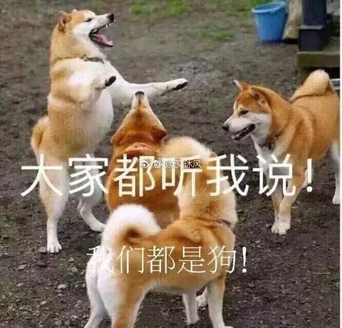 何猷君给奚梦瑶求婚戒指,何猷君送麻省理工学院戒指