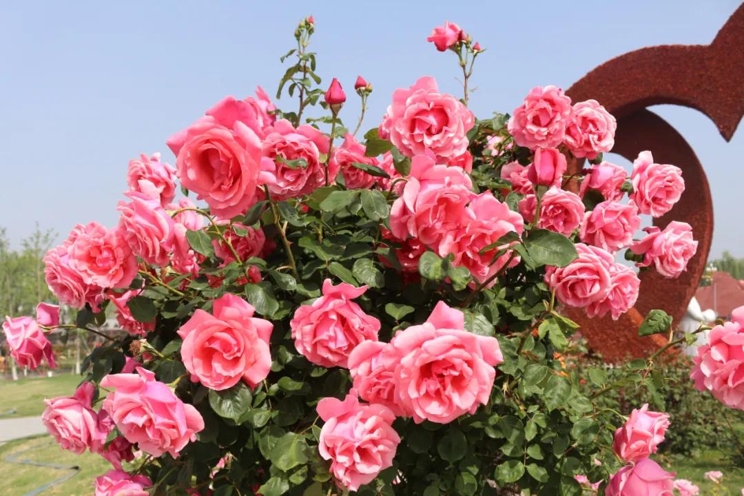 5.17遇见Ta在一起|这里有个不一样的脱单机会，速来~