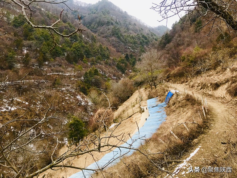 鍑ゅ摜鍔╁姏鏂颁汉,鍐滄潙鍒涗笟鍑ゅ摜