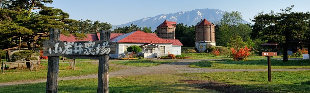 日本田园生活怎么挣钱,日本田园牧歌