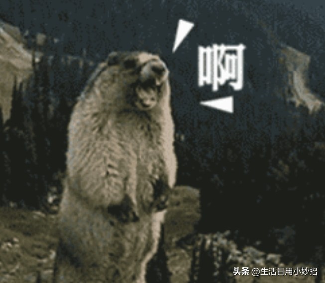 电水壶坏了不要扔干什么,电水壶坏了不要扔修一修