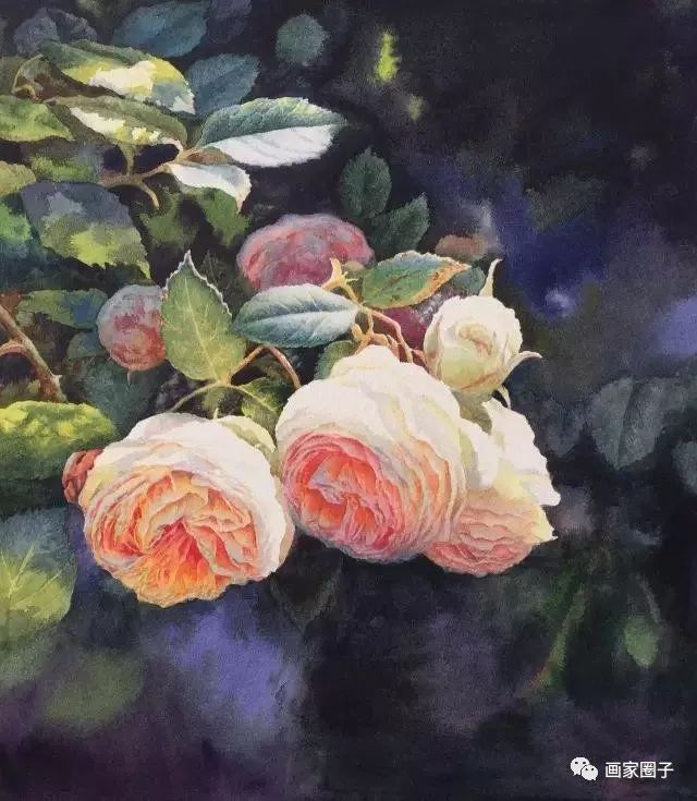 100种漂亮花卉图片,100张漂亮花图