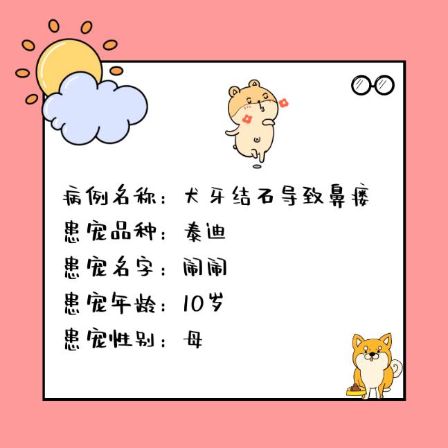 鐟炴淳鍏冲繝瀹犵墿鍖婚櫌灞炰簬鏂扮憺楣忓悧,鐟炴淳鍏冲繝瀹犵墿鍖婚櫌鍖椾含