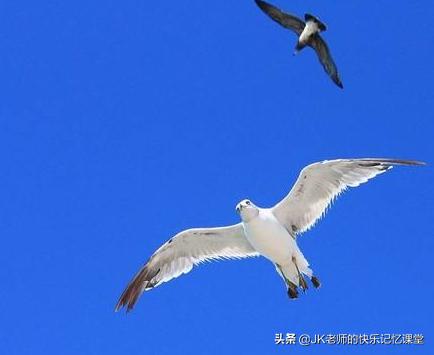 《是您讲入木三分，安然无恙》阅卷老师看着看着就哭了