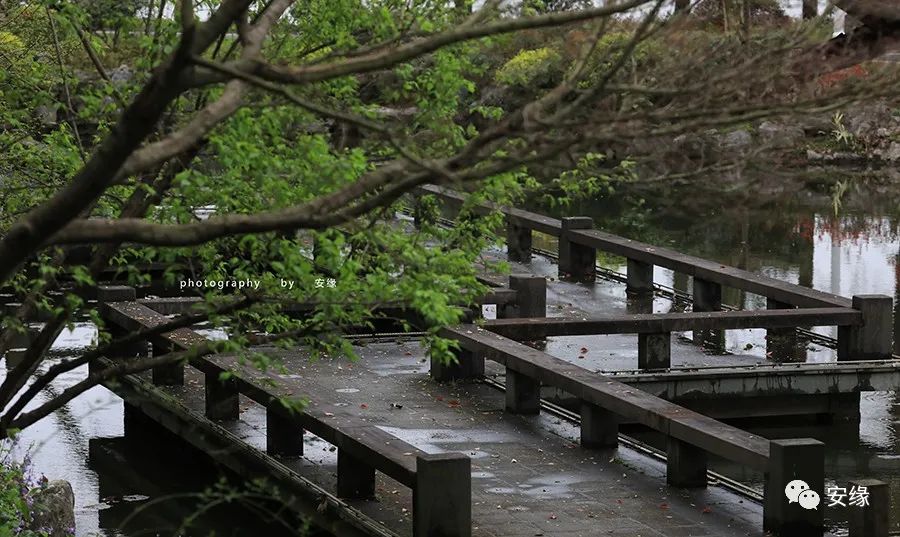 深扒：西湖中的西湖；多国元首下榻的540亩国宾馆的神秘面纱