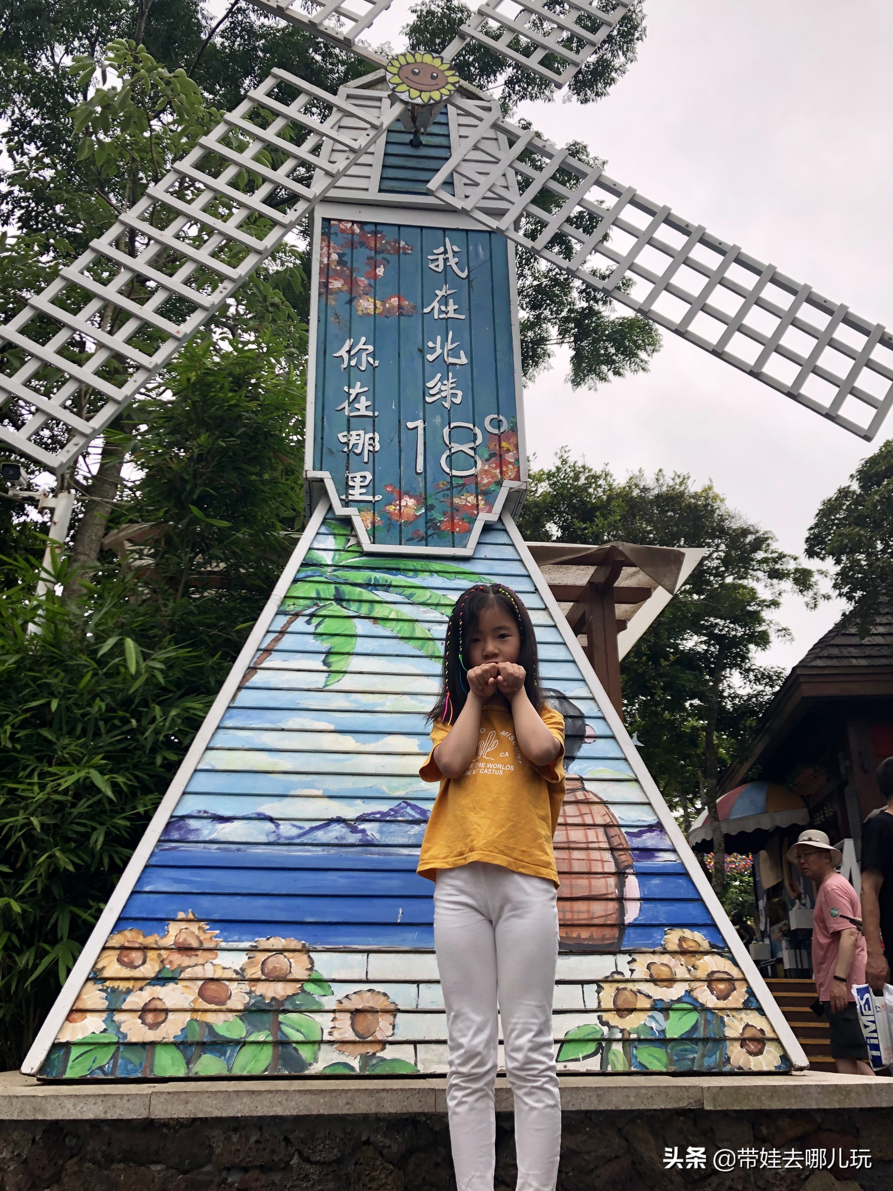 住三亚亚龙湾鸟巢酒店,亚龙湾森林热带天堂非诚勿扰