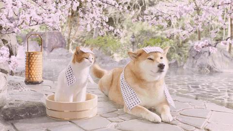 云南温泉科普讲解,云南科普旅游