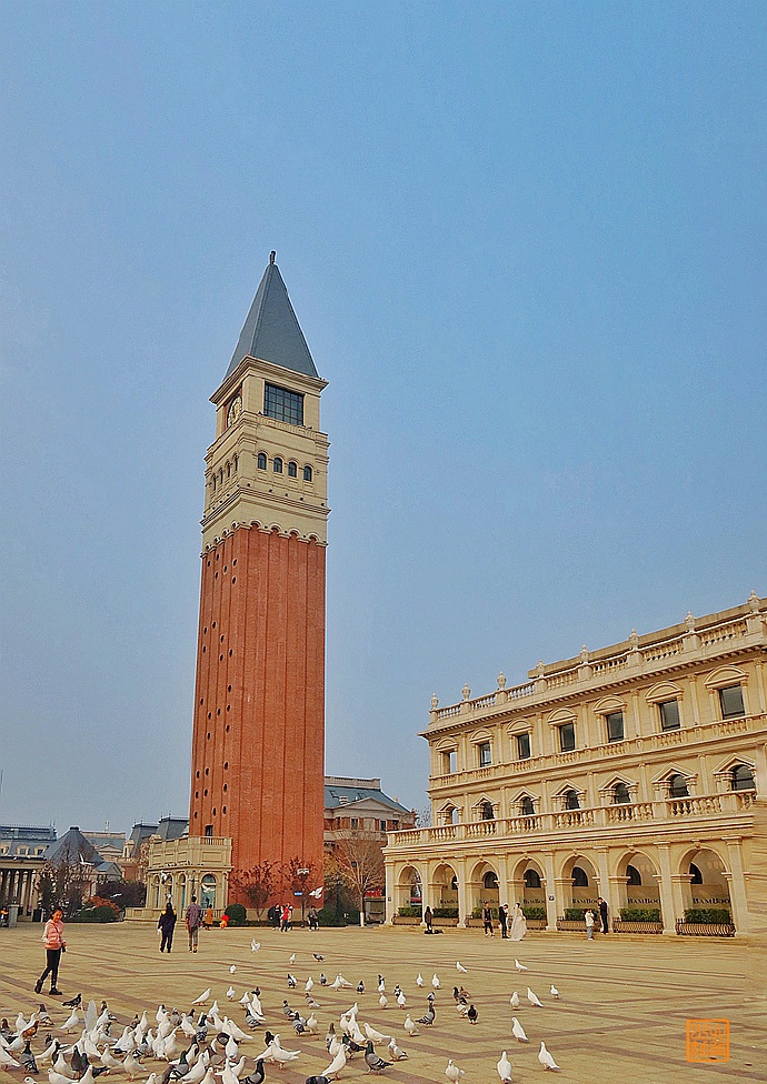不能飞去巴黎伦敦，不如到大连喂鸽子，赏海景吃海鲜